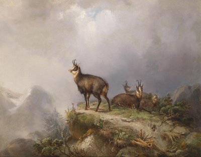 Chamois by Carl Friedrich Ockert